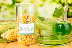 Newton Blossomville biofuel availability